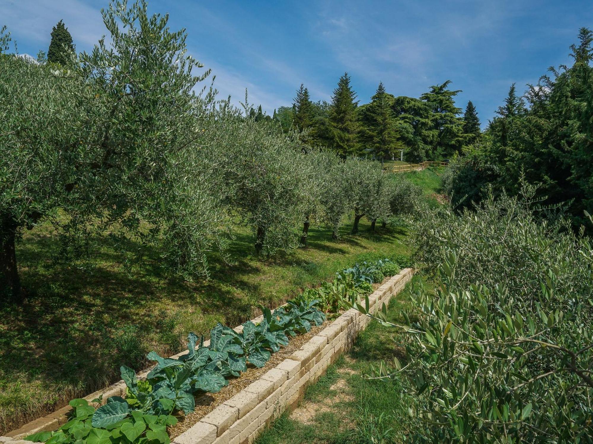 Cà Toresele Relais Osteria Garden Verona Esterno foto