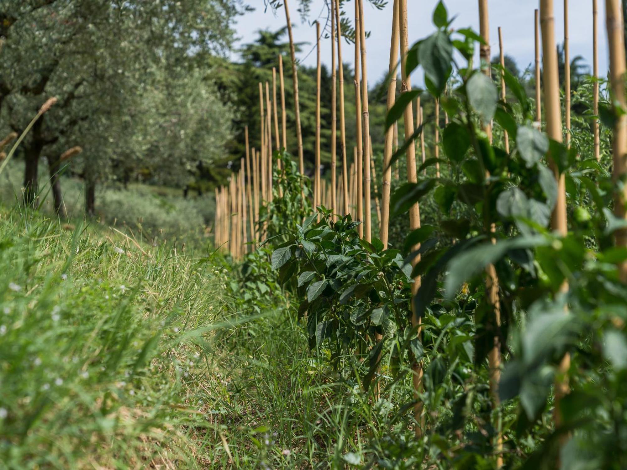 Cà Toresele Relais Osteria Garden Verona Esterno foto